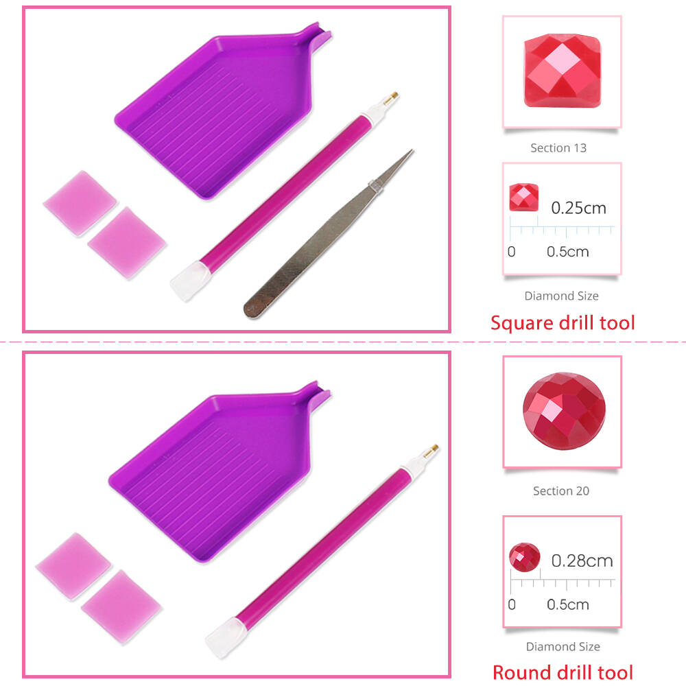 Momoart Diamond Painting Fenic - Resin Craft For Beginners recensione e prezzo